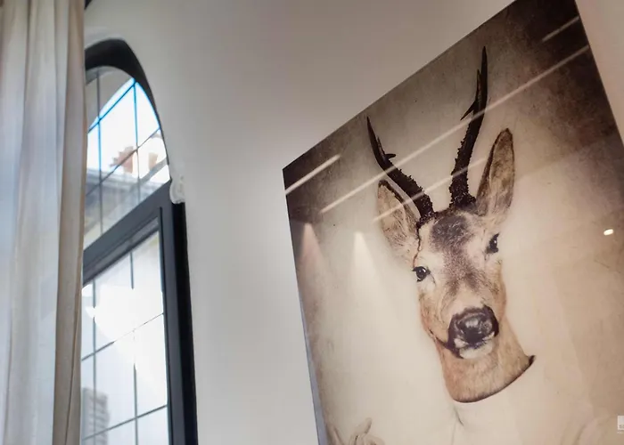 Luxury House In Marchesana 150 Mq