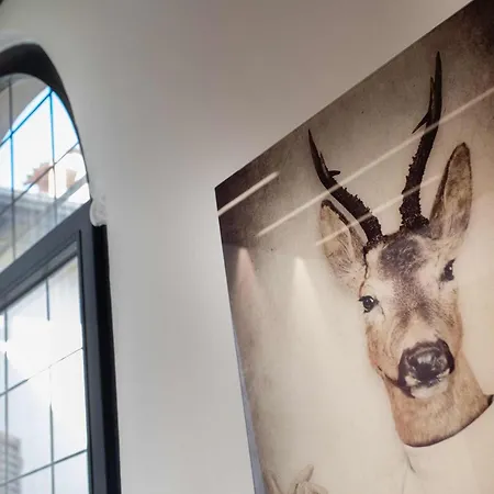 Luxury House In Marchesana 150 Mq